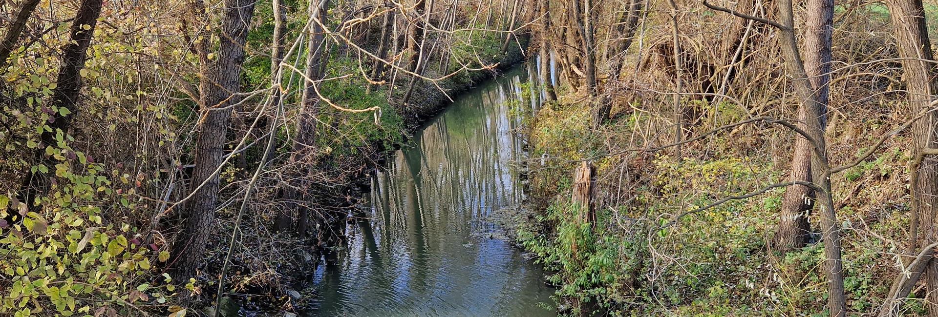 Ledava