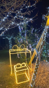 5ddbf31e-dd86-43b0-b47a-82984b7a9b78